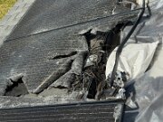 IMG_0345